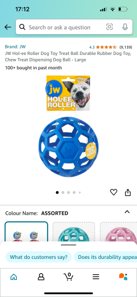 If you have a Labrador, which toy have they loved the most?