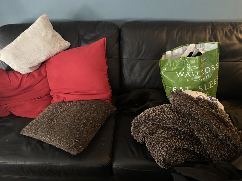 Trick or Cat Treat? The Excellent Cats do Halloween