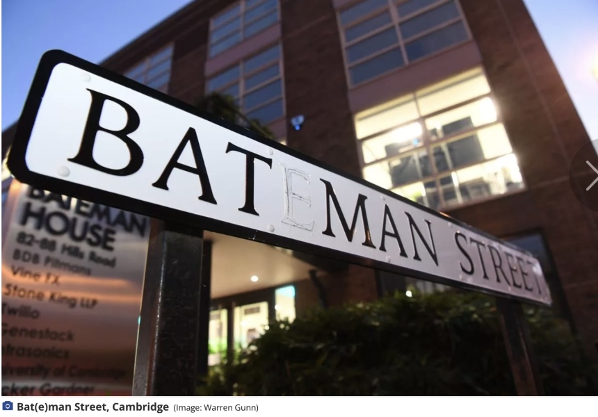 Bluestockings & Orange Wellies: Welcome to the Degu Station!