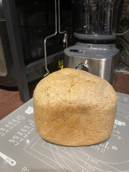 Bread machine recipe - had a disaster with the one out the instruction manual!