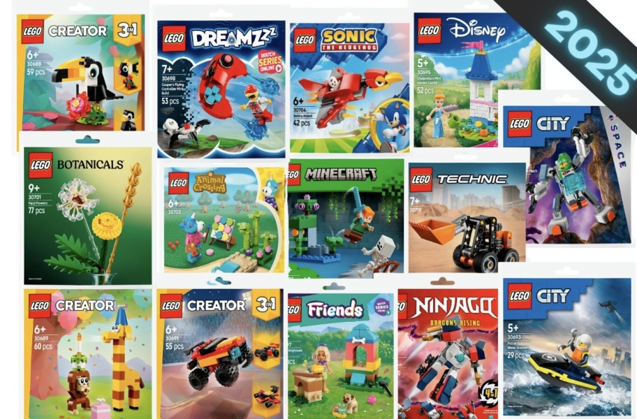 To show me your Lego collection?