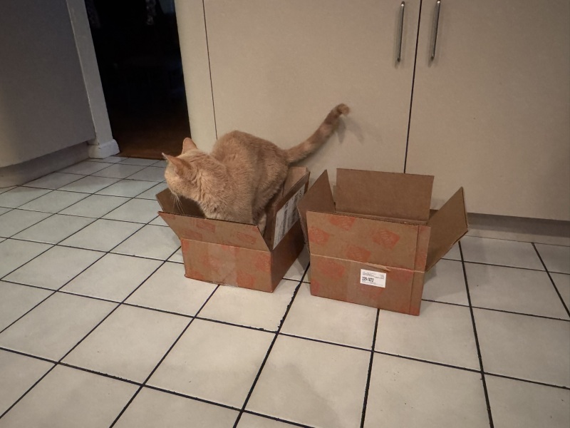 Come and tell me your dull and unexciting news 31: Calmly through the day