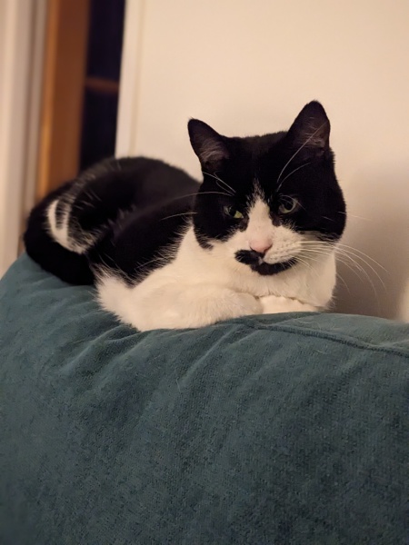 Cancer Support Thread 95 - No googling allowed 😊