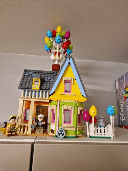 To show me your Lego collection?