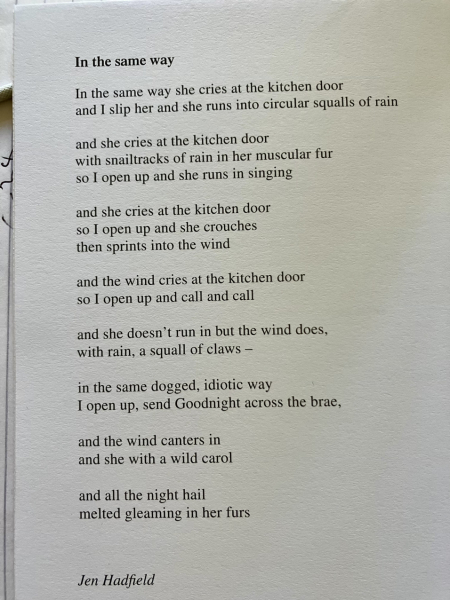 Flounders or Flouncers? The Excellent Cats continue their important debate