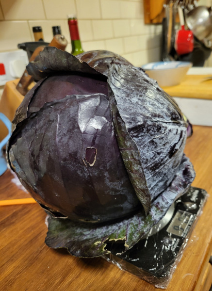 The Vegetable Patch 2024/2025