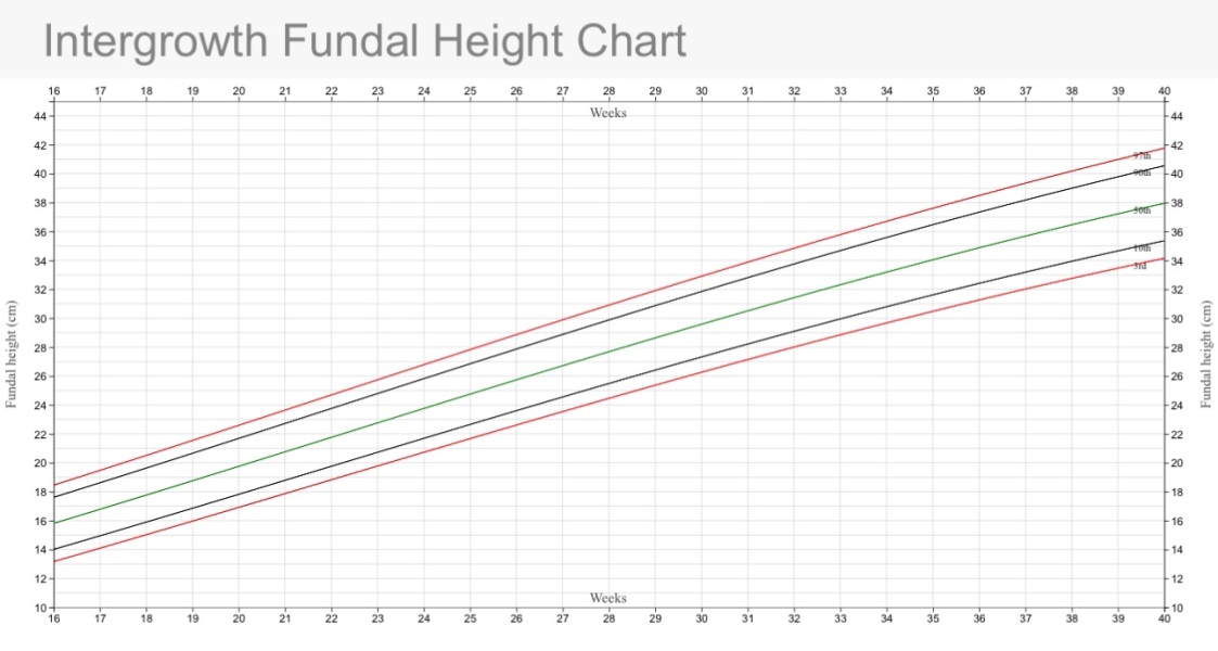 Intergrowth Fundal Height Chart???
