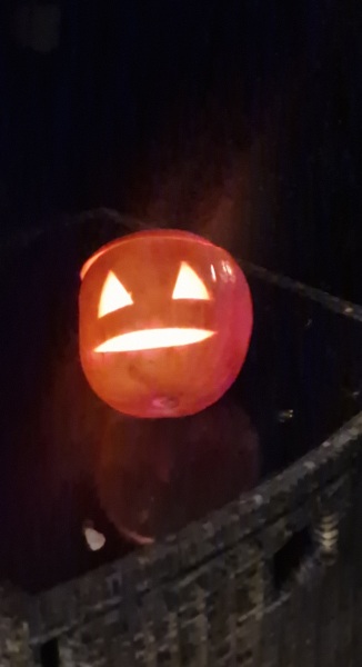 Show us your pumpkins!