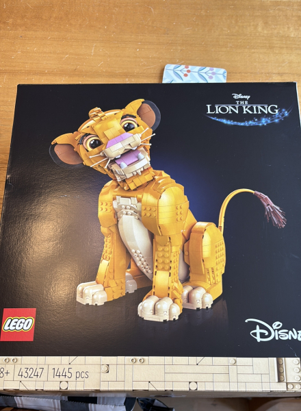 To show me your Lego collection?