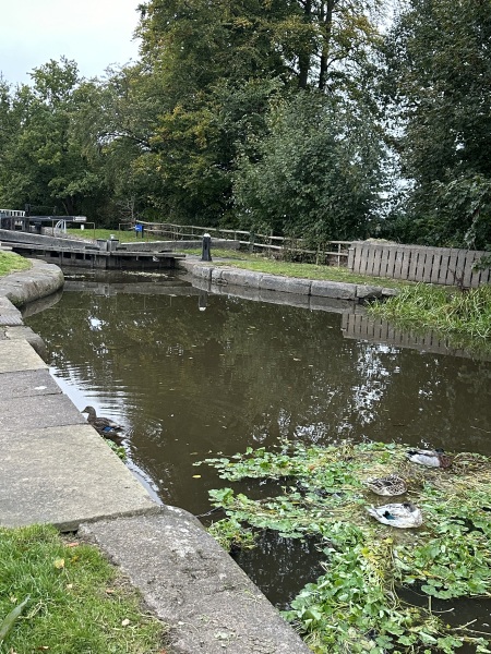 The Autumnal Christmas Chronicles Preamble - Thread 2 further ramblings