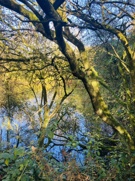 The Autumnal Christmas Chronicles Preamble - Thread 2 further ramblings