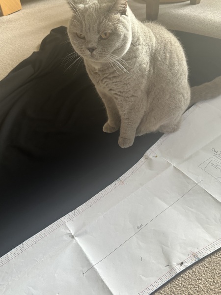 Stitch and bitch thread #10. There’s a pattern here