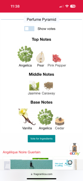 Recommend me a winter perfume