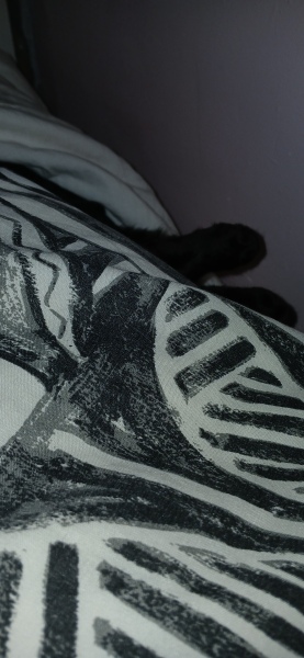 Flounders or Flouncers? The Excellent Cats continue their important debate