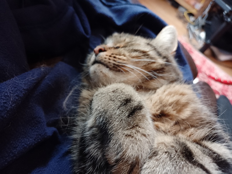 Grooming.