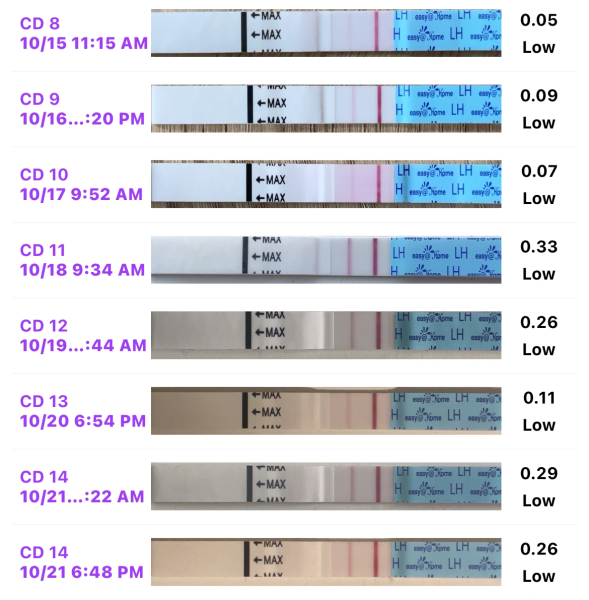 TTC FIRST BABY - New cycle, let's go girls !