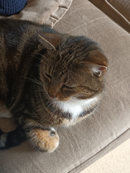 Thread 9 Starmer : Return to Westminster