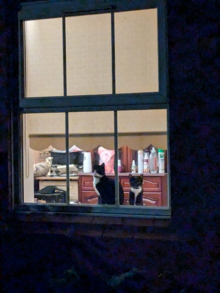 Thread 9 Starmer : Return to Westminster