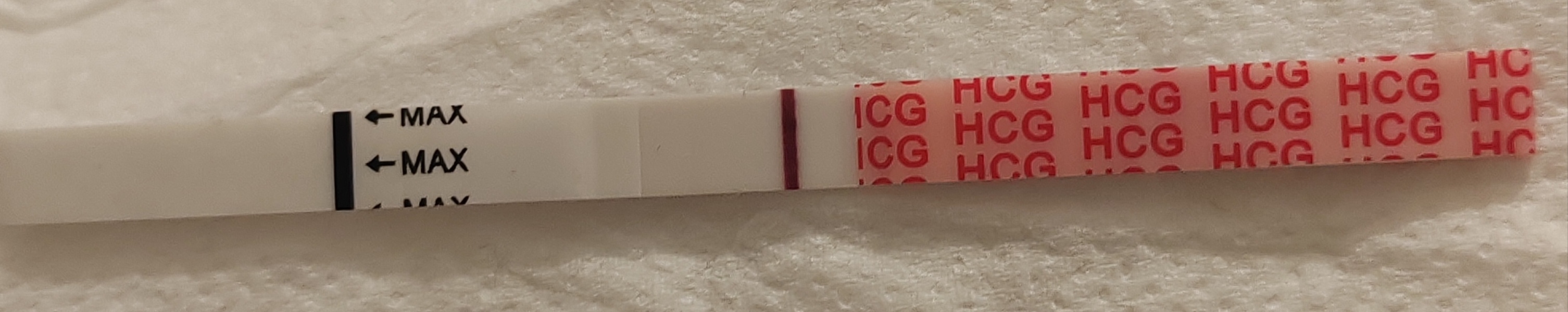 I think I have finally gone mad! Please help!