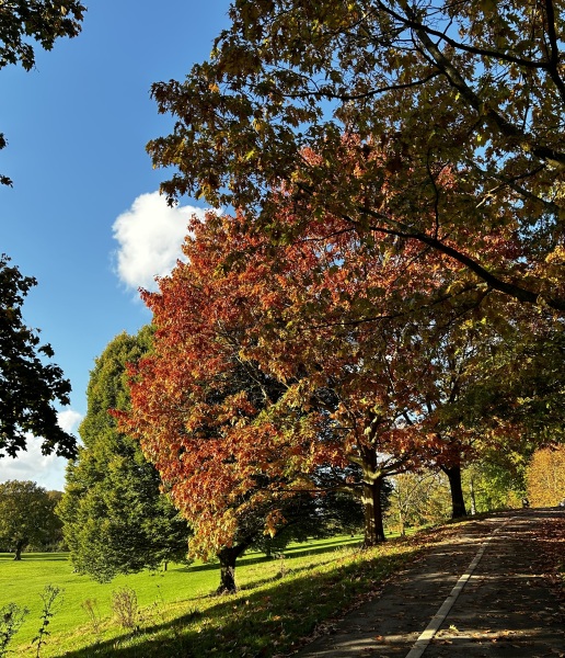 Come and tell me your dull and unexciting news 31: Calmly through the day