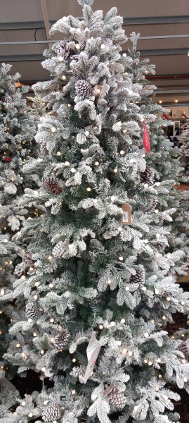 Season of mist and mellow fruitfulness...and ramping up those Christmas preparations! Countdown to Christmas 2024 (thread 3) (title edited by MNHQ @request of OP)