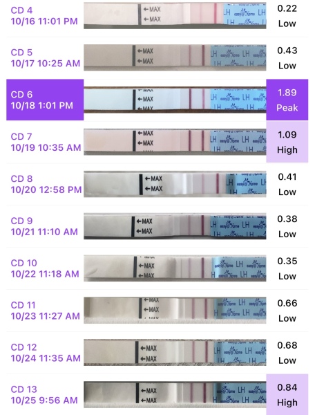 Two week wait ladies, you there?