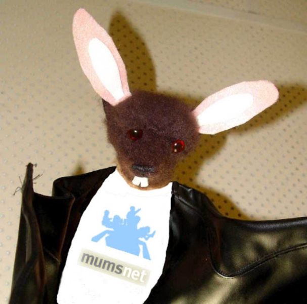 Bluestockings & Orange Wellies: Welcome to the Degu Station!