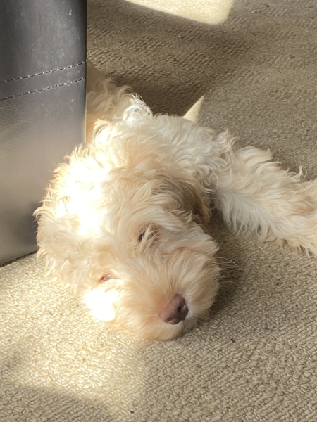 Royal Style: monkey nuts or emeralds? The discussion continues...