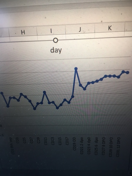 6dpo