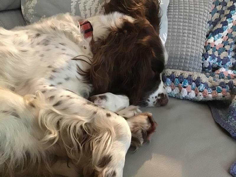 Thread 10 Starmer: First Female Chancellor delivers the Budget