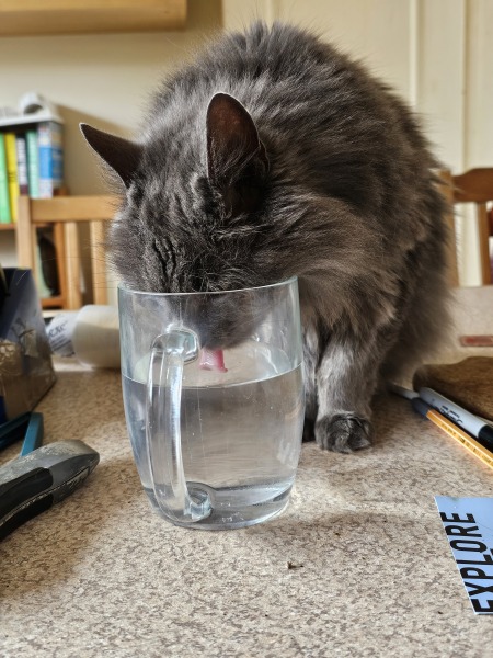 She drank my fucking CHAMPAGNE!!!