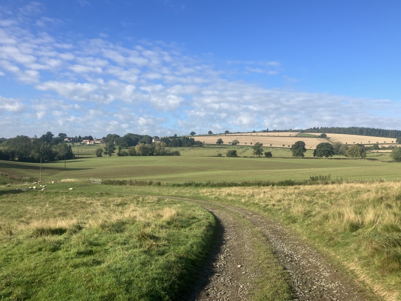 To ask you to show me your beautiful parts of the country