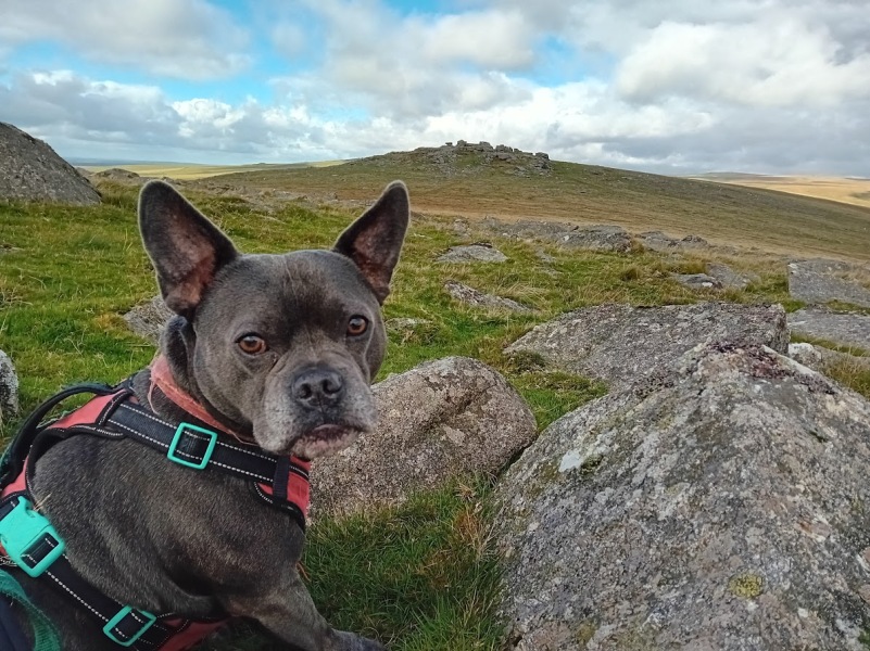 The Continuing Support Thread for Anyone Trying to Lead an Alcohol-Free Life Autumn 2024