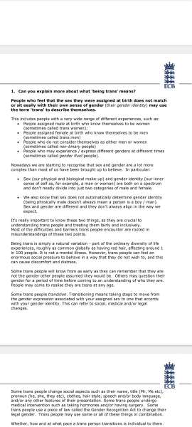 Cricket, no not those ones, a duck (possibly a drake)