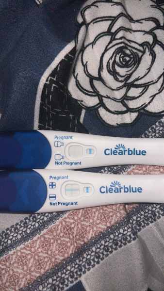 Clear blue test. Evap line or positive