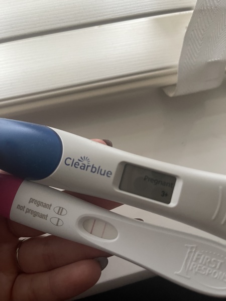 IVF transfer October 2024