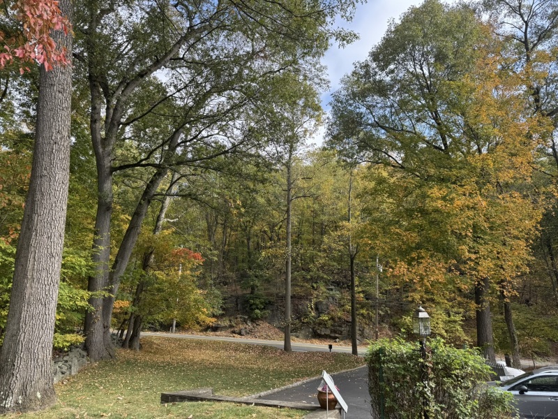 Come and tell me your dull and unexciting news 31: Calmly through the day