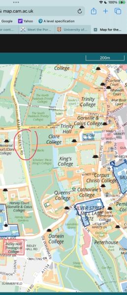 Bluestockings & Orange Wellies: Welcome to the Degu Station!