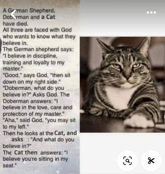 Saw this..