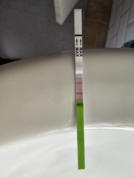 Is this a positive ovulation test?