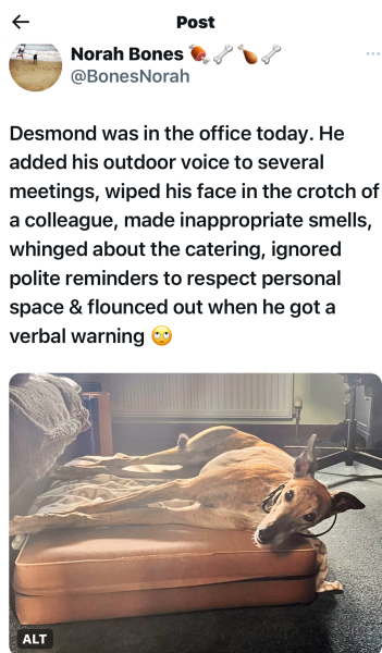 Tell me your juiciest workplace gossip!