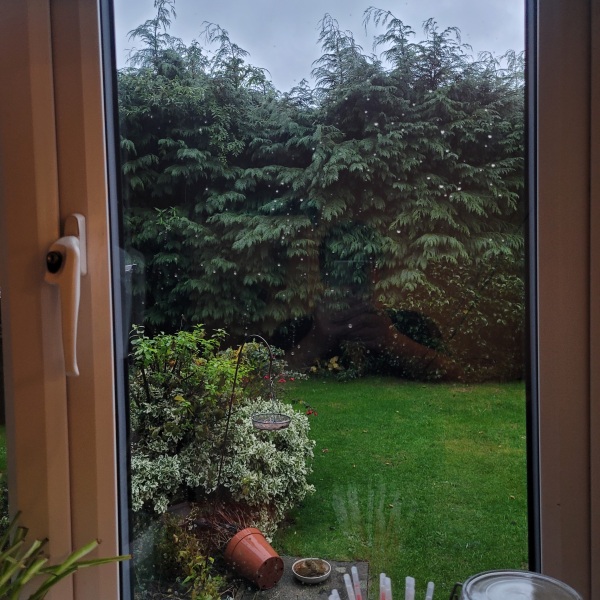 Mounjaro August Starters 6