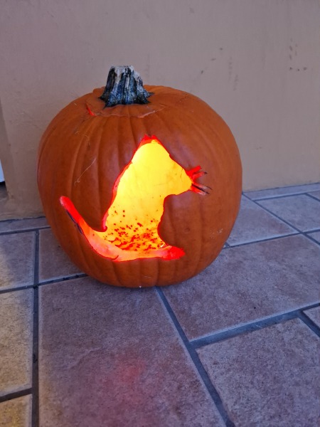 Trick or Cat Treat? The Excellent Cats do Halloween