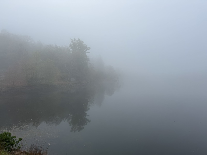 Come and tell me your dull and unexciting news 31: Calmly through the day