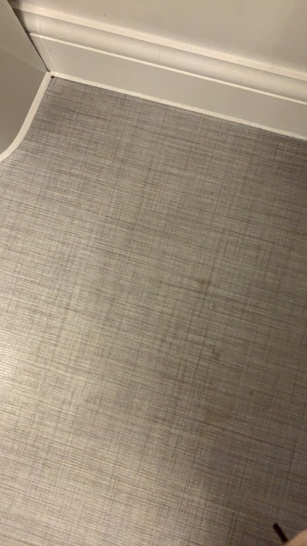 Help! How to get hair dye stains out of bathroom floor?