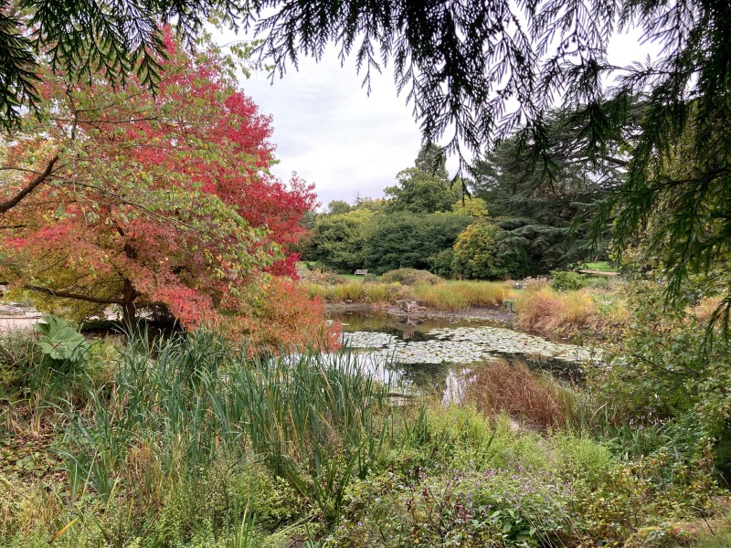 The Great Cancer Recovery part 3