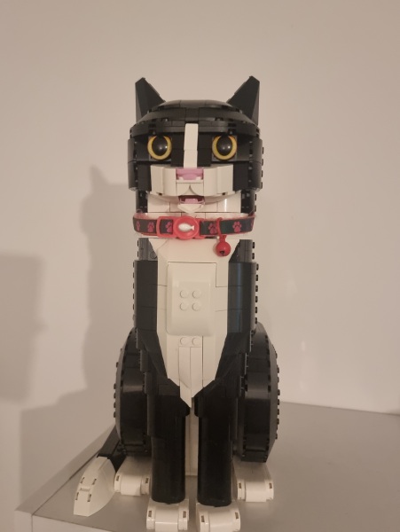 To show me your Lego collection?