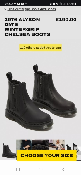 Please help me find THE Chelsea boots!!!