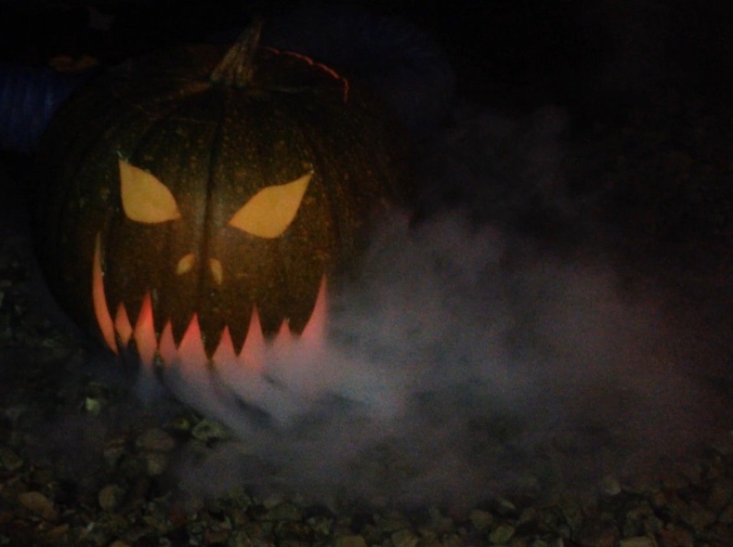 Show us your pumpkins!