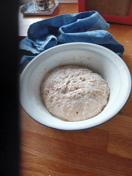 Sourdough Bread Starter